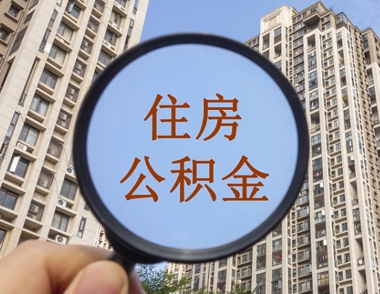辽源退休后查不到公积金明细了吗（退休后公积金查询不到原因）
